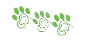 A green dog paw print with paw pad shaped like a dog